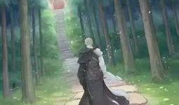 须弥全部爆料视频大全,全景解析神秘世界